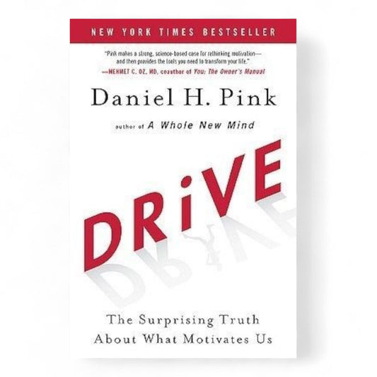 Drive: The Surprising Truth About What Motivates Us
