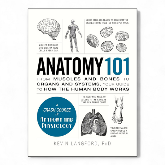 Anatomy 101 by Kevin Langford