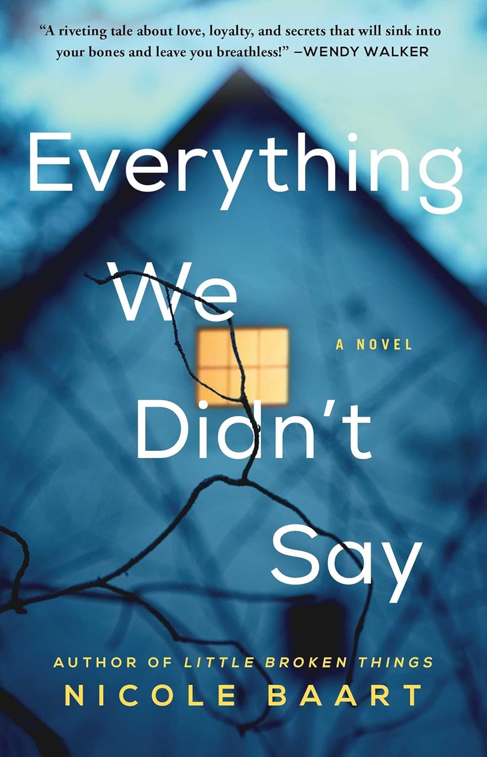 Everything We Didn’t Say by Nicole Baart
