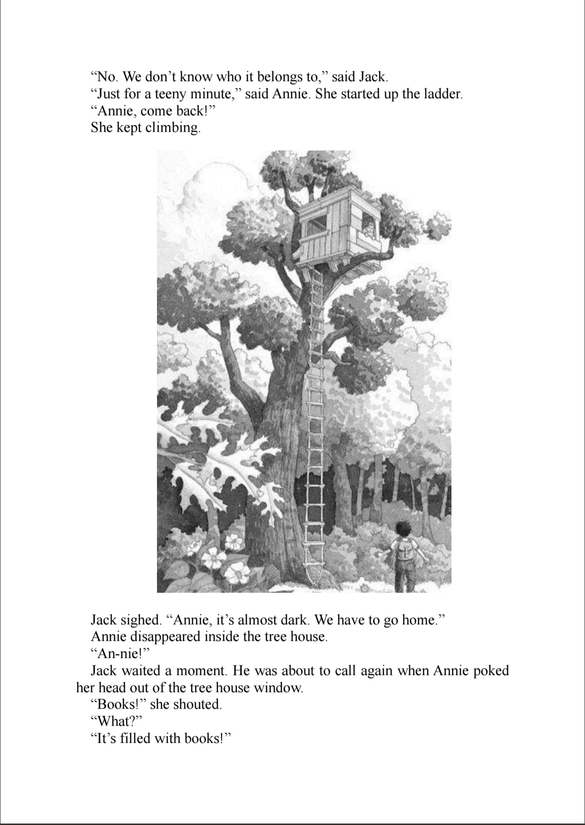 Magic Tree house (8 Books Series)